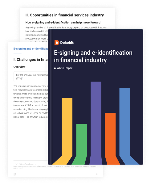 Thumbnail pages of Financial Teams and Dokobit: A White Paper